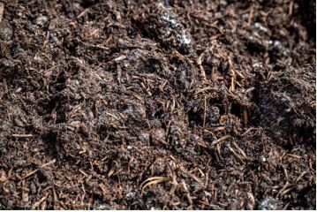 Organic Fertilizer